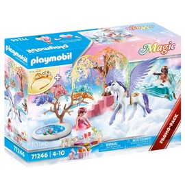 Playmobil Picnic with Pegasus Carriage