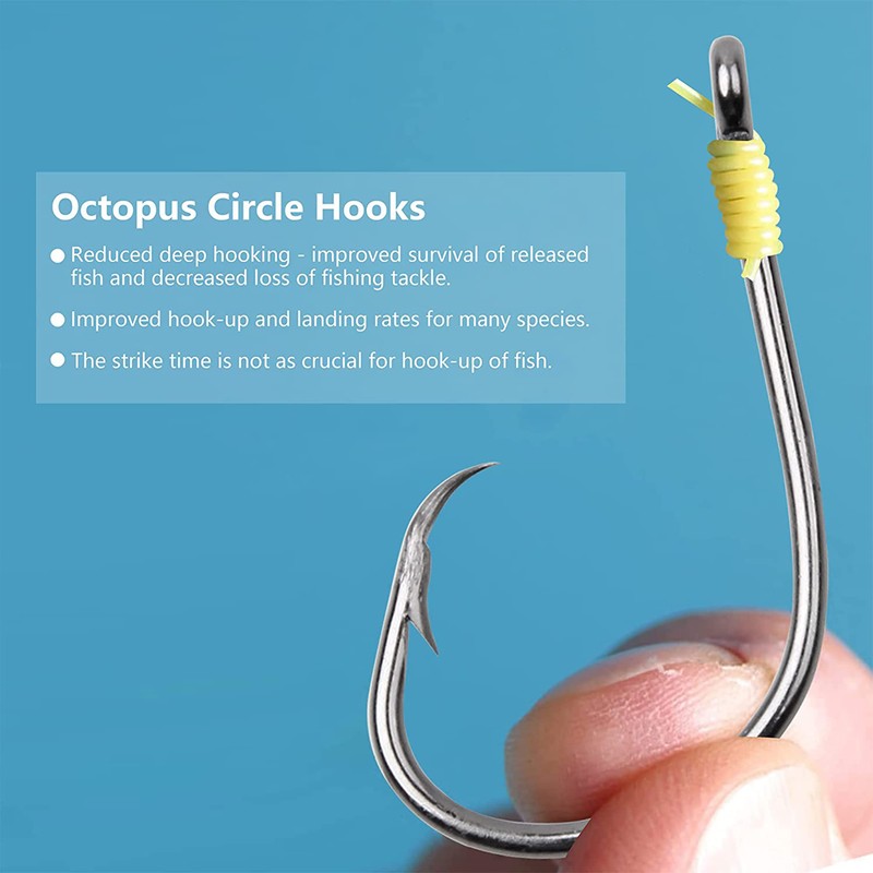 100pcs Circle Hooks Saltwater Fishing Hooks Kit High Carbon Steel