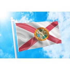 DMSE Florida State Flag 3X5 Ft Foot 100% Polyester 100D Flag UV Resistant (3' X 5' Ft Foot)