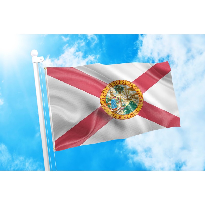 DMSE Florida State Flag 3X5 Ft Foot 100% Polyester 100D