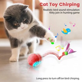 WENZHIYIXIU Interactive Cat Toys Ball for Indoor Cats Fast Rolling on Carpet，Colorful Plastic Spring Cat Toys 5Suit ，Automatic Kitten Toys for Bored Indoor Adult Cats，Motion Activated