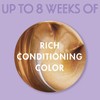 Dark and Lovely Fade Resistant Rich Conditioning Colour Hair Colour