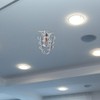 Fire Sprinkler Head Guard Cover, Pendent Fire Sprinkler Cage Protector