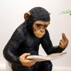 Darthome Cheeky Monkey On Toilet Ornament 15x20x12cm Resin Up Yours