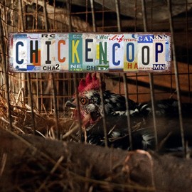 Chicken Coop Signs Chicken Sign Chicken Coop Accessories Vintage Funny Chicken Coop Metal Tin Signs Street Signs Home Wall Decor Farmhouse Kitchen Wall Decor 16 X 4 Inches