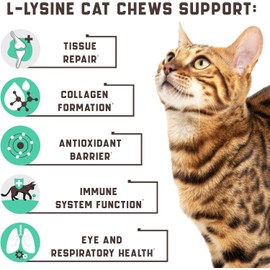 Lysine Cat Treats – Immune Support for Cats – Promotes Respiratory Health and Eye Function – Fortified with Vitamin B, Calcium, and Protein