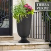 Tierra Verde Indoor & Outdoor Self-Watering Urn Planter, Cadence, 14"