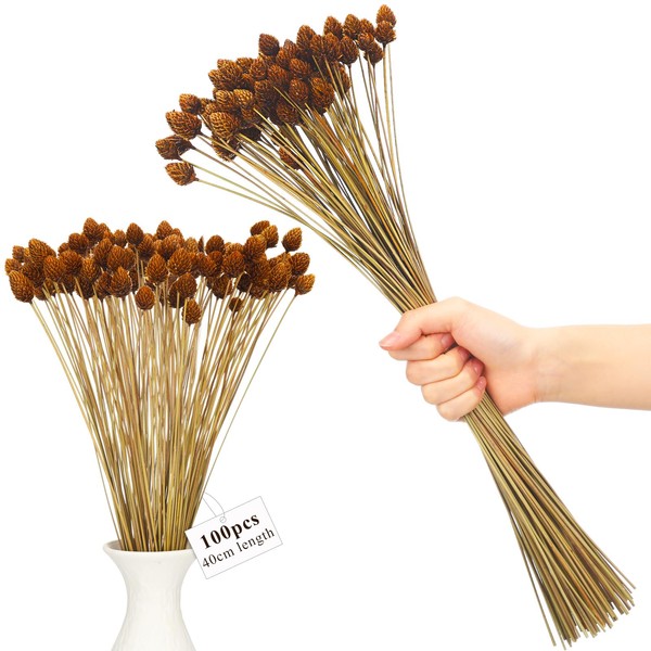 WILLBOND 100pcs Dried Pine Cone Flowers with Stems Natural Mini