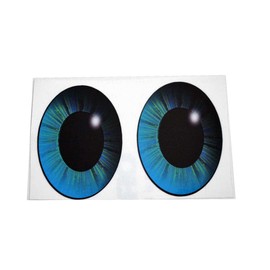 Toy Restore Replacement Stickers Fits Little Tikes 30th Anniversary Cozy Coupe Car Toy Blue Eye