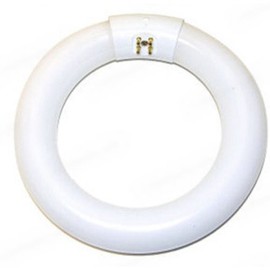 Eiko FC8T9/CW Circline T-9 G10Q Base Halogen Bulb, 22W, Cool White