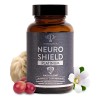 Nootrópicos Memoria Concentración Protección Neuronal