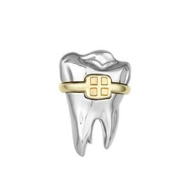 2-Set Tooth with Brace Anatomy Brooch Pin for Dental Dentist Orthodontic