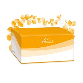 Pascoe® Vitamin B12 Depot Injectopaz 1500 mcg, Pack of 100