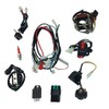Complete Wire Harness Set for 50cc 70cc 90cc 110cc 125cc