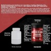 Multivitamínico para Hombre con L-Carnitina, Creatina, Magnesio, Zinc, Potasio y