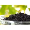 1 Pound Soluble Kelp