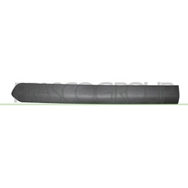 Protective strip door rear left black