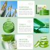 Pack of 60 Aloe Vera Eye Pads Against Dark Circles,