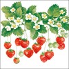 Ambiente Serviettes Lunch 33 x 33 cm Party Summer Fruits