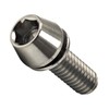 4Pcs Titanium Bike Bolts, M6x18mm 20mm Hex Tapered Head for