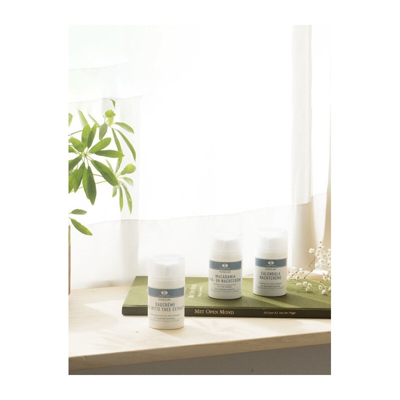 Calendula Night Soothing Care Cream 50ml / 칼렌듈라 나이트 진정