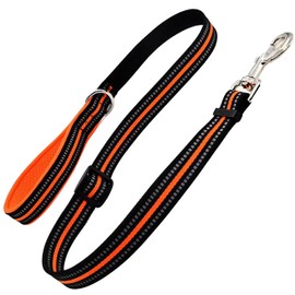 EZONEDEAL Heavy Duty Strong Pet Dog Leashes for Medium Dogs - Nylon Reflective Dog Lead Puppy Leash - Dog Training Leash Fit for All Type Dog Leads for Walking Puppy Training (Medium, Orange)