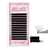 Arison Lashes Easy Fan Lashes, 0.05 D Curl, 10 mm
