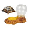 iplusmile Reptile Water Bottle - Turtle Water Bowl, Feeding Bowl