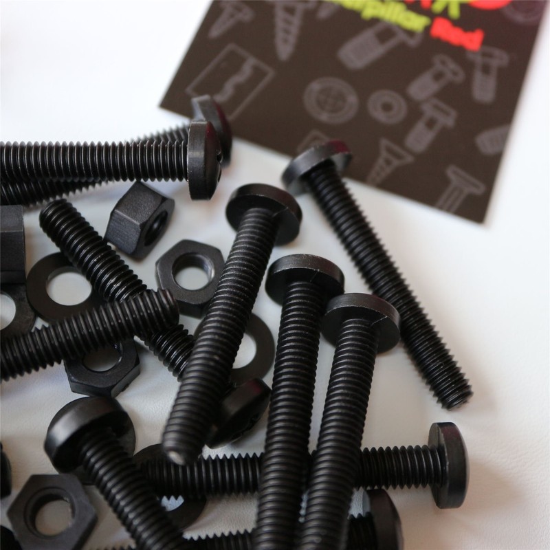 20 x Black Pan Head Screws Polypropylene (PP) Plastic Nuts
