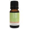 ECO. Modern Essentials Digestive Essential Oil Blend, 10ml