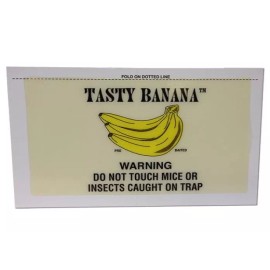 Catchmaster 72TB Tasty Banana Glue Board ( 72 Glue Boards ) Critter & Bug Trap
