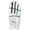 ARNOLD PALMER APG Golf Gloves APG-116 Men's White X Green