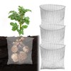 yotutun Set of 3 Stainless Steel Root Protection for Plants