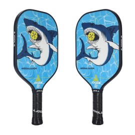 JOOLA Pickleball Paddle – Reinforced Fiberglass Surface, Honeycomb Polypro
