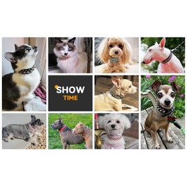 Serijoars Spiked Dog Collar Soft Pu Leather Mushrooms Rivet Spike Studded Dog Collar Adjustable Puppy Collars (S, Black)