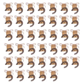 WC 10 Pcs Lucky Horseshoes Western Christmas Decor Wedding Favors Rustic Horseshoe Mini Horse Decor Party Western Party Decorations Baby Shower Return Gifts with Tags Vintage Craft Horseshoe