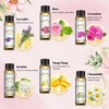 EUQEE Aroma Oil Set, Essential Oil Set, Lavender, Rose, Ylang-Ylang,