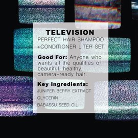 R+Co | Travel Sized | Television Perfect Shampoo and Conditioner for Preserving Color Treated Hair | Anti Frizz + Repairs + Nourishes | Vegan + Sulfate-Free | Set of 2