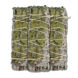 ESPOIR & AMOUR Eucalyptus Sage - 3 Spiritual Eucalyptus Smudge Stick Bundles for Smudging, Healing and Ritual | Hand-Tied Dried Eucalyptus Bundle to Cleanse Negativity - 4 Inch White Sage Bundle
