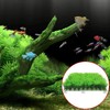 FEBSNOW Aquarium Suction Cups, Fish Tank Suction Cups Aquarium Suction
