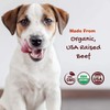 Riley's Organics Jerky Jibbs Beef Recipe Dog Treats 2 Pack