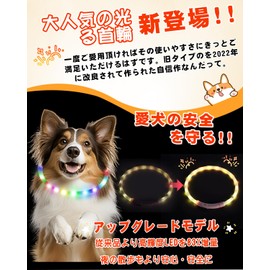 OGURIYA Dog Light Collar, 10 Minutes of Charge, Can Be Used for 180 Minutes, Dog Walking Light, Collar, Small Dogs, Medium Dogs, Large Dogs, Size Trimmable, Pet Supplies, Ultra Lightweight, Easy to