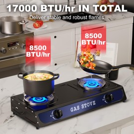 Argyolas 2 Burners Stove for Outdoor Cooking, Portable Camping Gas Stove Double Burner with CSA LPG Hose, Auto Ignition 17000 BTU Propane Stove