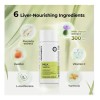 Oxyenergy Silymarin Milk Thistle. Con Vitaminas. Sin Sabor