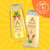 Astonish Tropical Shampoo with Pro-Vitamin B5, 400ml