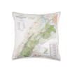 Cherokee National Forest Map (1996) Throw Pillow