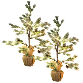 Britesta Christmas Trees in Pot: Set of 2 Decorative Conifers in Pot, 24 LEDs, Artificial Snow, Cones, 70 cm (Conifer, Illuminated Conifer, Wireless Christmas Tree Lighting)