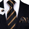 Barry.Wang Corbata clásica de seda para hombre, corbata de regalo