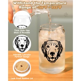 Dog Iced Coffee Glass 16 OZ Labrador Portrait Beer Can Glass with Lid Metal Straw and Brush, Reusable Drinking Jar for Coffee Tea Soda Juice Pet Lovers Dog Mom Gift Ideas Puppy Day, Set of 1
