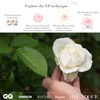 Eternal Petals A 100% Real Rose That Lasts Years, Handmade